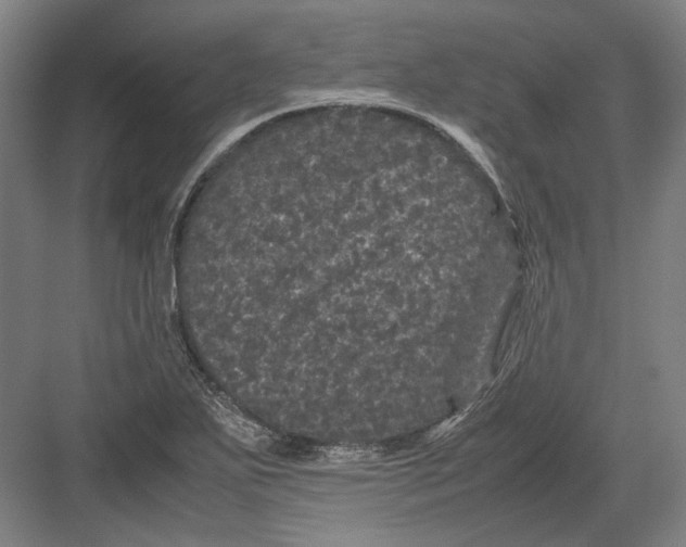 X0000082201271200702092352