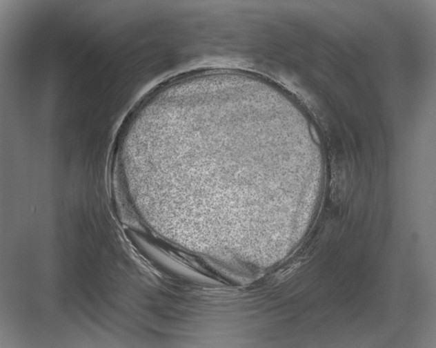 X0000082201272200702092352