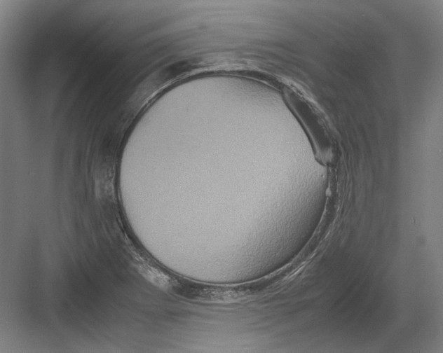 X0000082201273200702092352