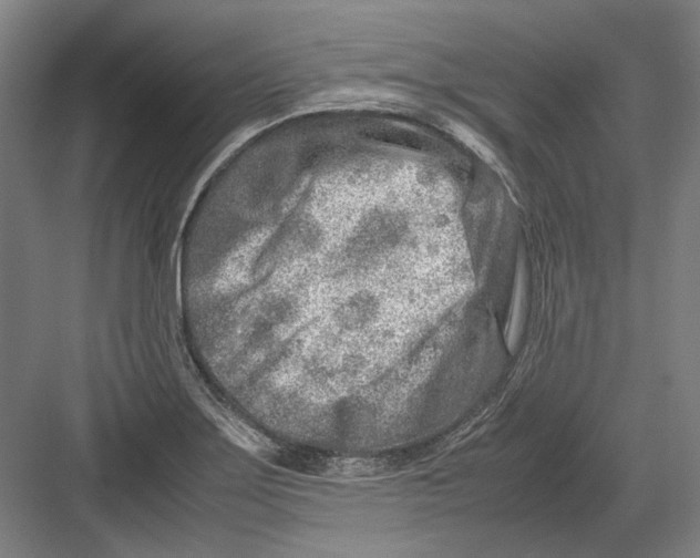 X0000082201275200702092352