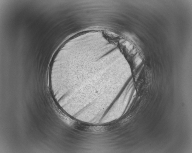 X0000082201276200702092352