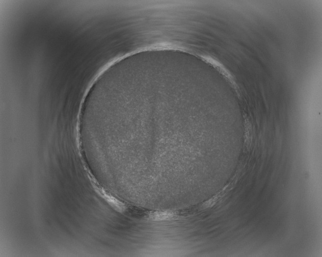 X0000082201278200702092351