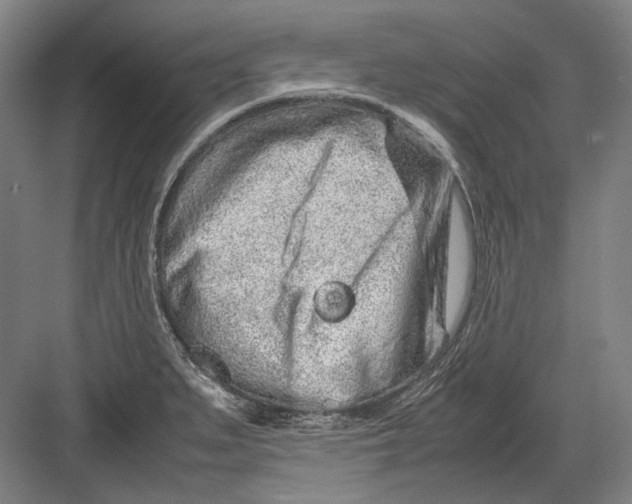 X0000082201279200702092351