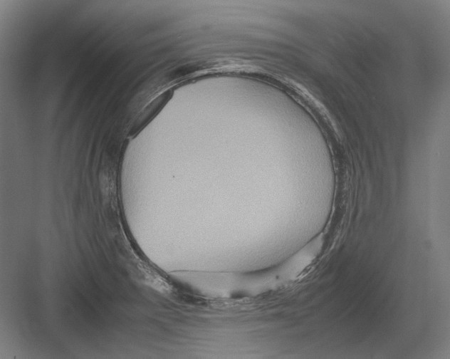 X0000082201281200702092351