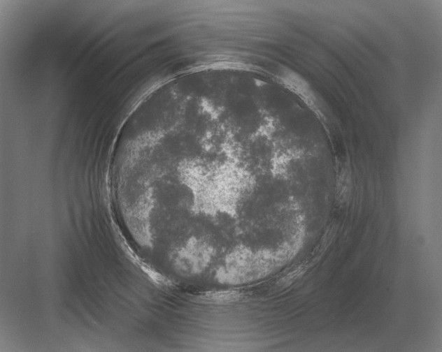 X0000082201282200702092351