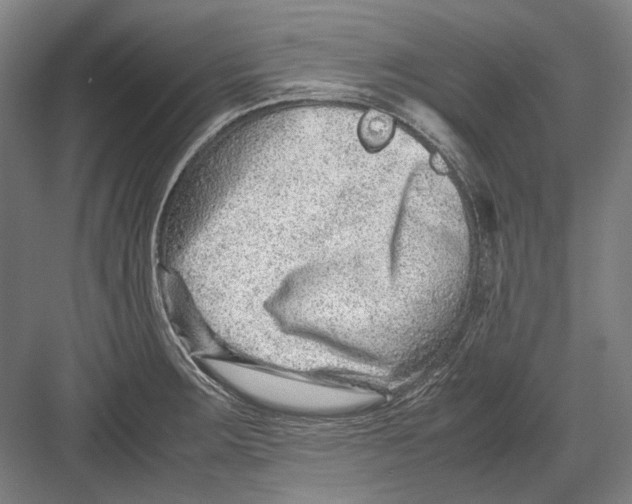 X0000082201283200702092351