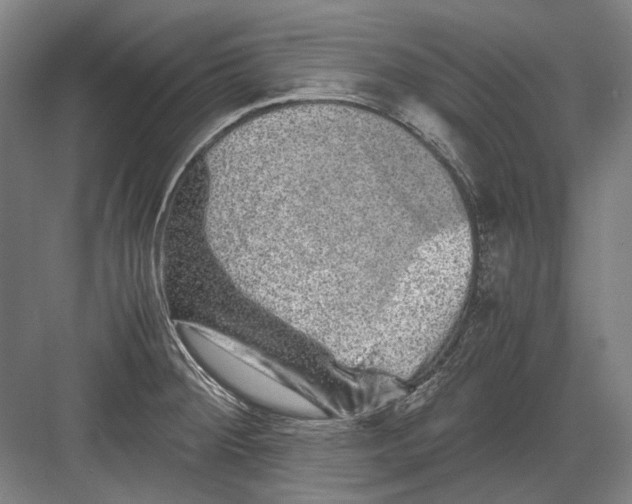 X0000082201284200702092351