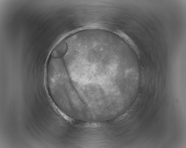 X0000082201286200702092351