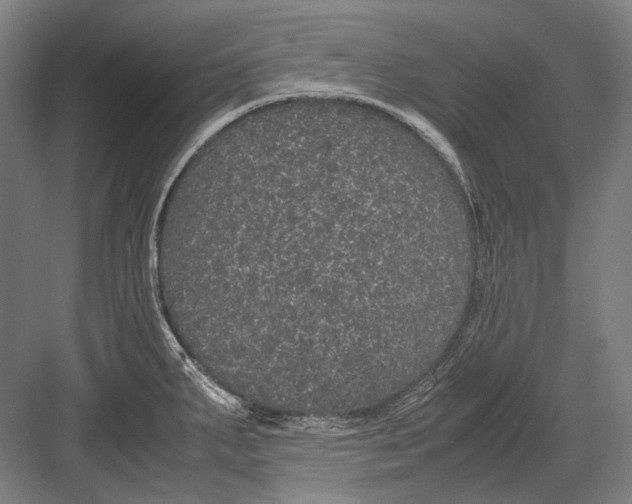 X0000082201287200702092351