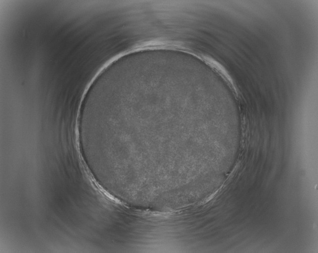 X0000082201288200702092351