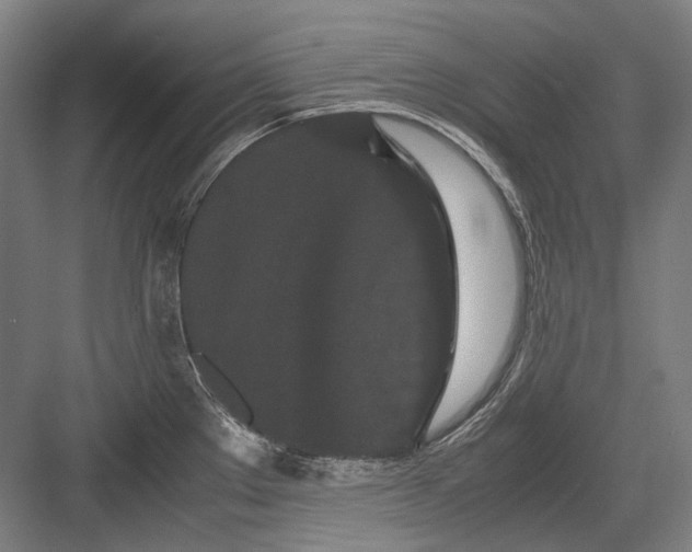 X0000082201289200702092351