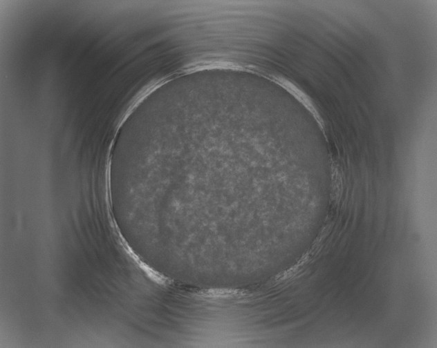 X0000082201290200702092351