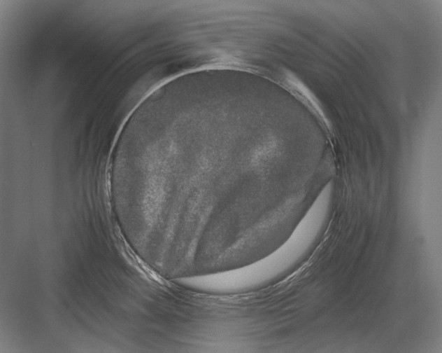 X0000082201292200702092351