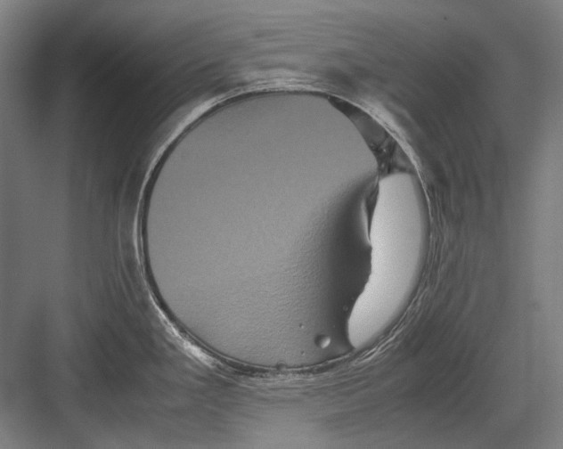 X0000082201293200702092351