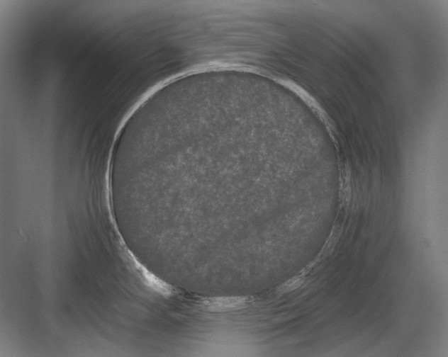 X0000082201294200702092351