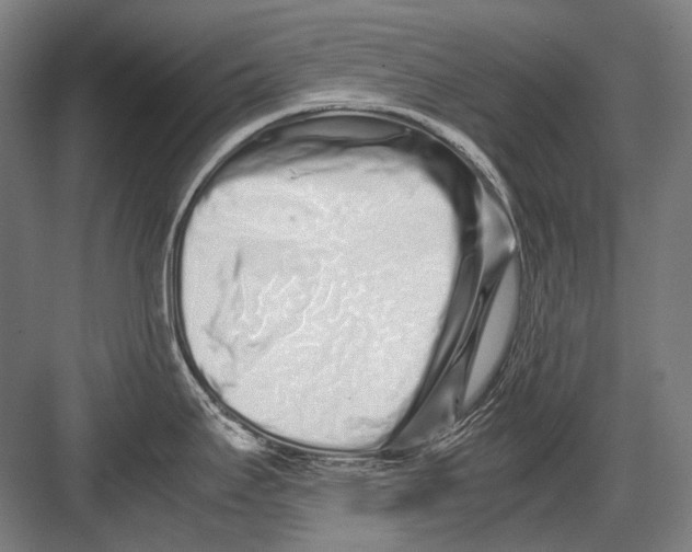 X0000082201295200702092351