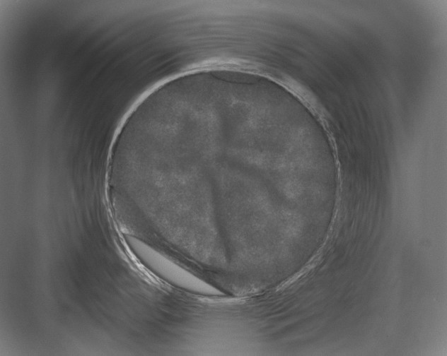 X0000082201296200702092351