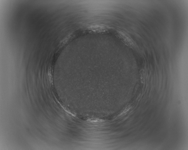 X0000082201298200702092350