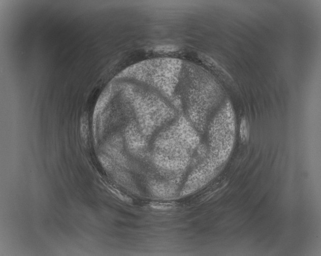 X0000082201299200702092350