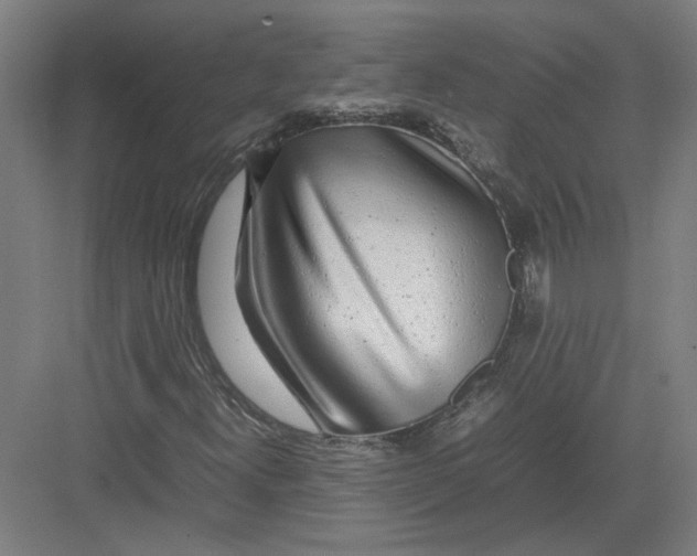 X0000082201300200702092350