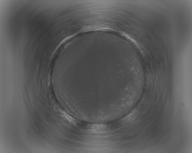 X0000082201306200702092351