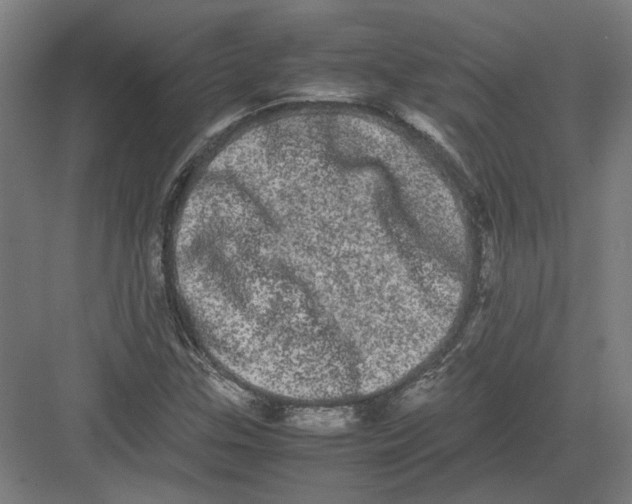 X0000082201307200702092351