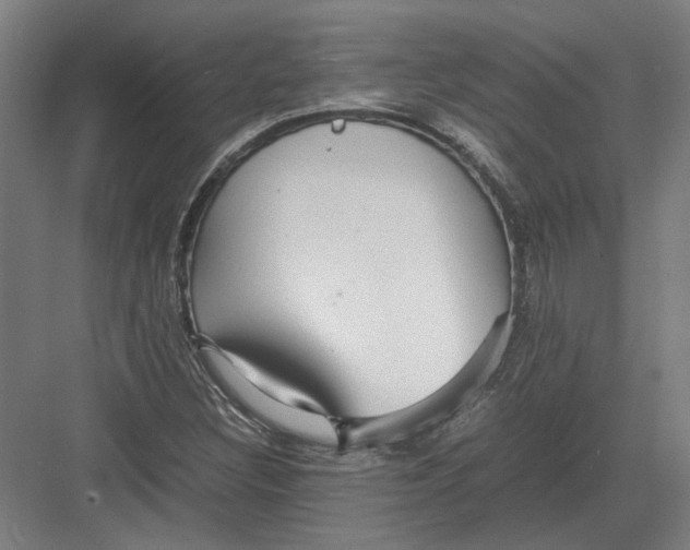 X0000082201308200702092351