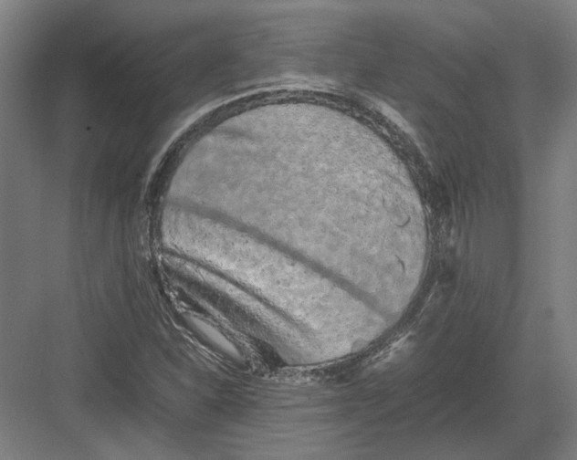 X0000082201310200702092351