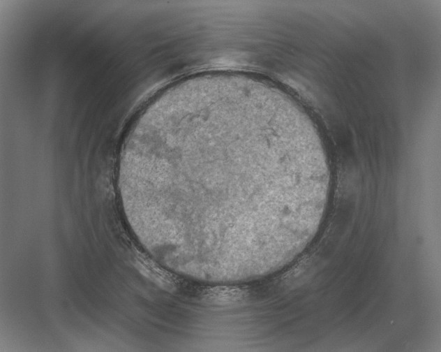 X0000082201314200702092351