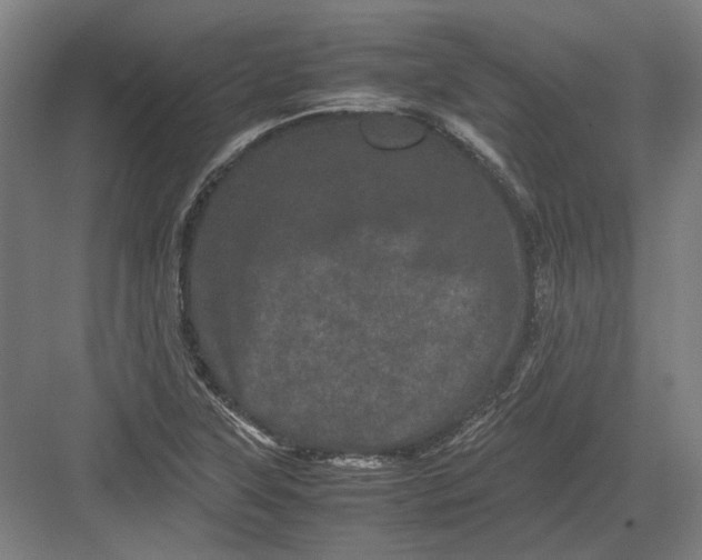 X0000082201315200702092351