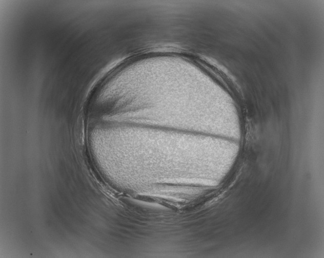 X0000082201317200702092351