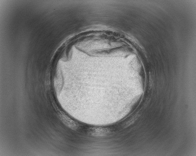 X0000082201318200702092351