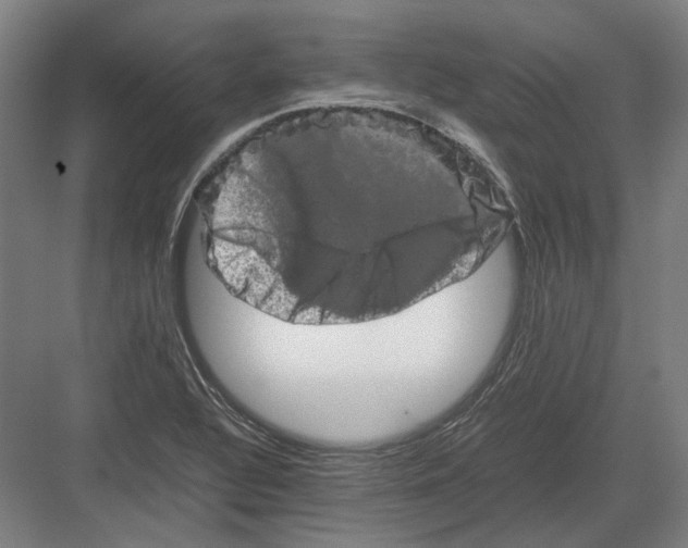 X0000082201320200702092351