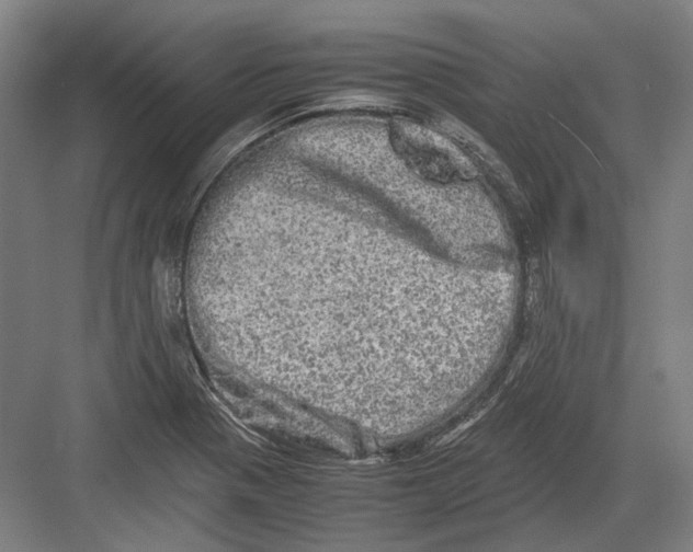 X0000082201321200702092351