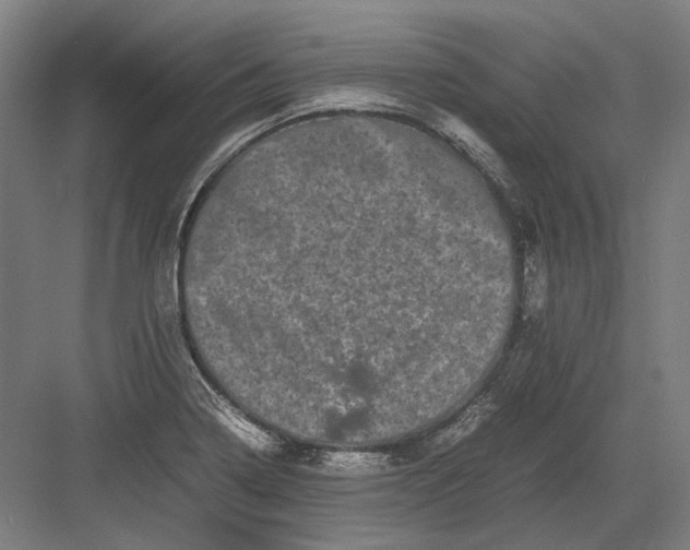 X0000082201322200702092351