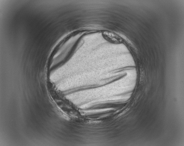 X0000082201325200702092351