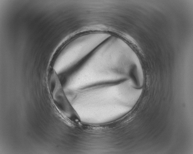 X0000082201326200702092351