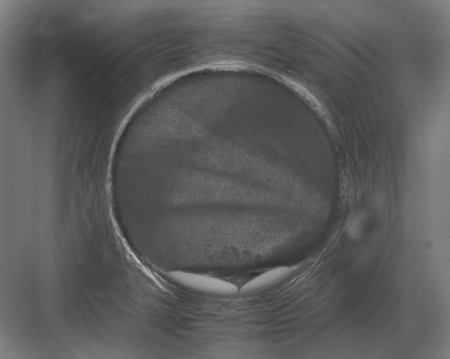 X0000082201327200702092351