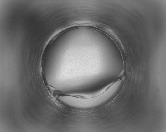 X0000082201328200702092351