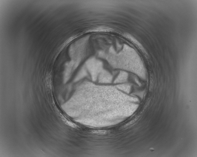 X0000082201329200702092351