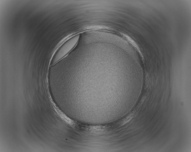 X0000082201330200702092351