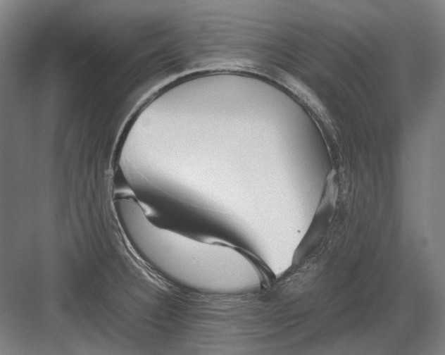 X0000082201332200702092351