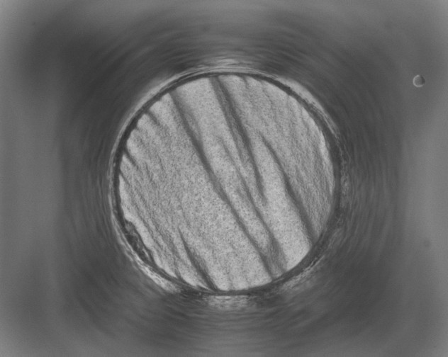 X0000082201333200702092351