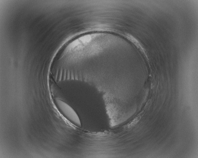 X0000082201334200702092351