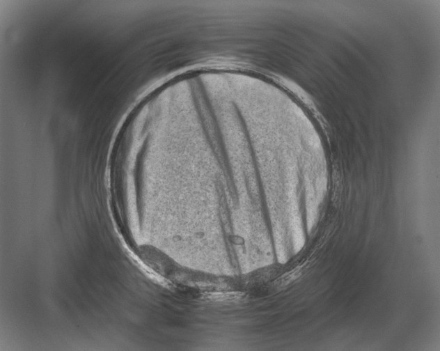 X0000082201335200702092351