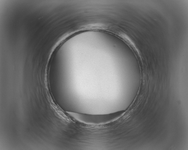 X0000082201336200702092351