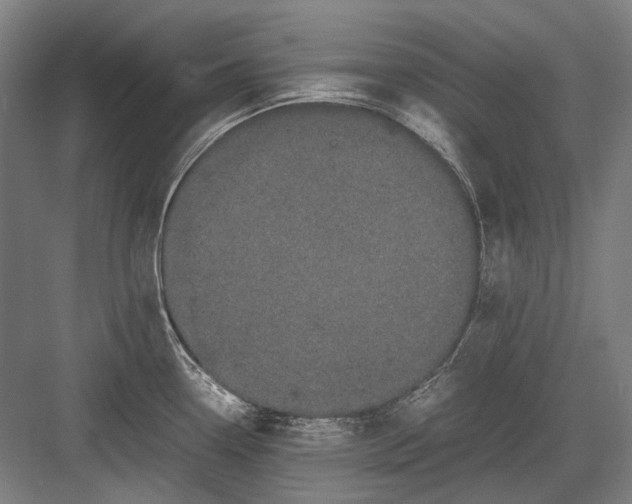 X0000082201338200702092351