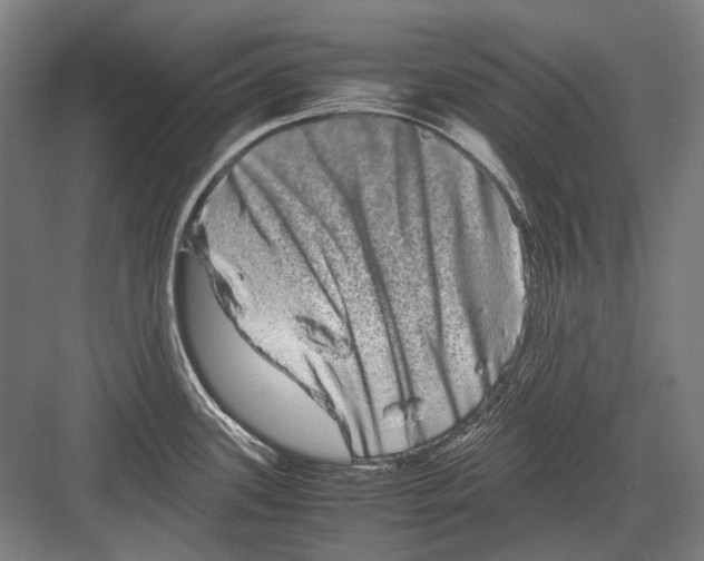 X0000082201339200702092351