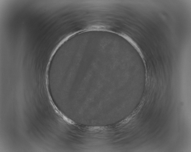 X0000082201341200702092351