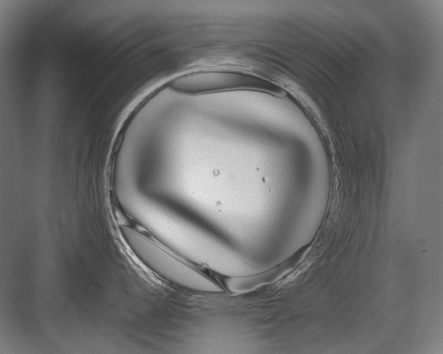 X0000082201344200702092351